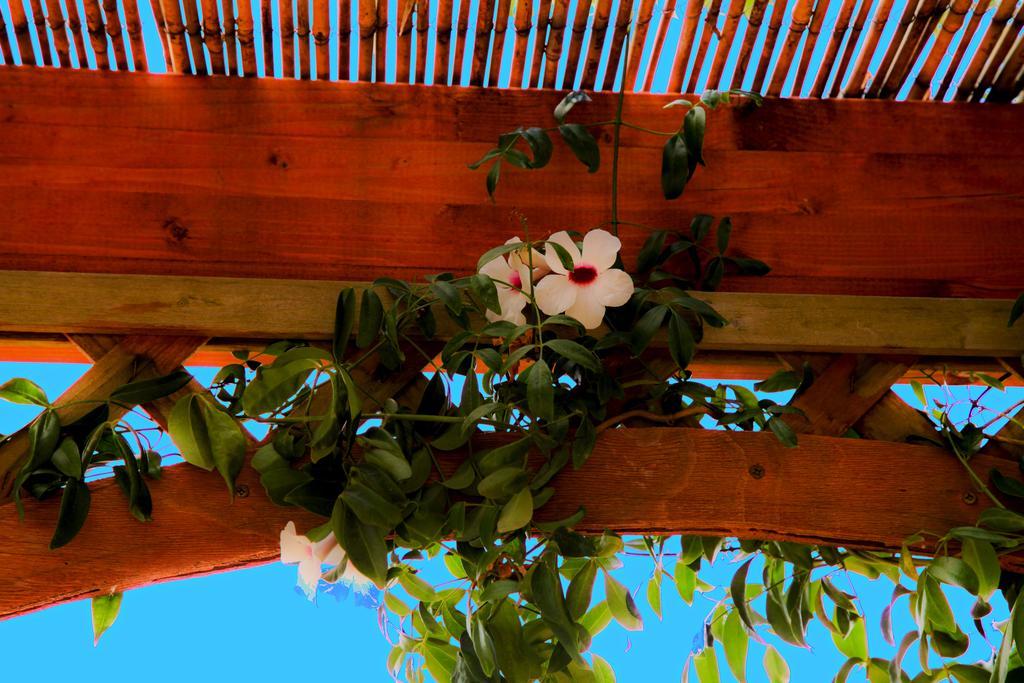Bonjour Bed and Breakfast Morciano di Leuca Exterior foto